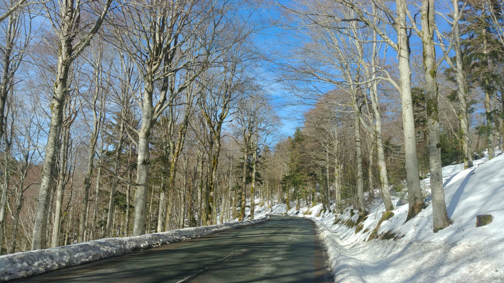 Route enneigée en moto